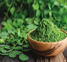 Moringa
